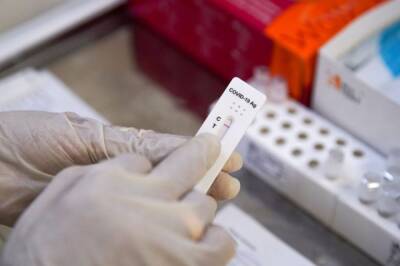 Ученые спрогнозировали пик заболеваемости коронавирусом в РФ
