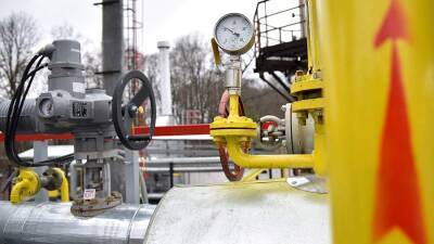 На Украине пожаловались на высокие цены на газ