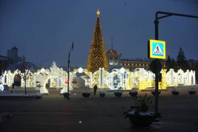 Елку и праздничную иллюминацию в Белгороде начнут разбирать после 20 декабря