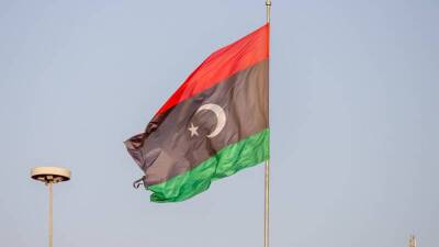 Муаммар Каддафи - Стефани Уильямс - Журналисты ФАН опубликовали расследование о коррупционных схемах спецсоветника ООН в Ливии - inforeactor.ru - США - Вашингтон - Ирак - Ливия - Триполи - Иордания - Бахрейн