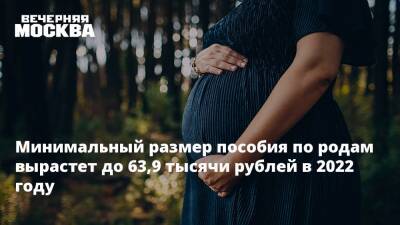Минимальный размер пособия по родам вырастет до 63,9 тысячи рублей в 2022 году