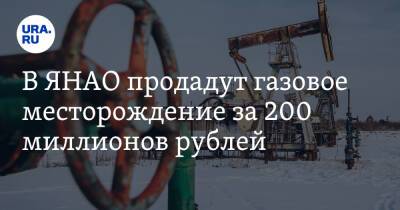 В ЯНАО продадут газовое месторождение за 200 миллионов рублей
