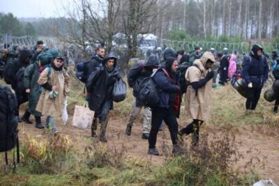 Десятки белорусских мигрантов прорвали границу Польши