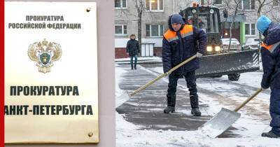 Прокуратура проверит качество уборки улиц в Петербурге после жалоб в соцсетях