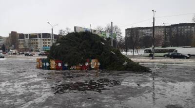 В Гомельской области подсчитывают сумму ущерба в результате сильного ветра