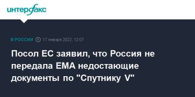 Посол ЕС заявил, что Россия не передала EMA недостающие документы по "Спутнику V"