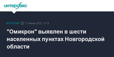 "Омикрон" выявлен в шести населенных пунктах Новгородской области
