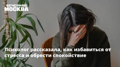 Евгений Фомин - Психолог рассказала, как избавиться от стресса и обрести спокойствие - vm.ru - Москва