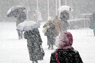 Снежные бураны готовится обрушить на Новгородскую область циклон «Герхильд»