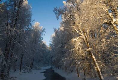 Дрозденко поделился фотографиями зимней Гряды Вярямянселькя