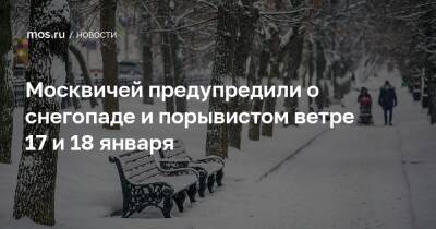 Москвичей предупредили о снегопаде и порывистом ветре 17 и 18 января