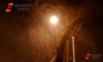 Циклон в Калининградской области обесточил улицы и повалил больше двухсот деревьев