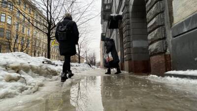 Специалисты МЧС предупредили петербуржцев об ухудшении погодных условий 18 января