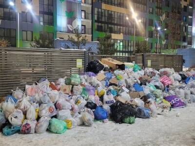 Петербургские уличные музыканты начали исполнять песню Шнурова о снежном и мусорном коллапсе