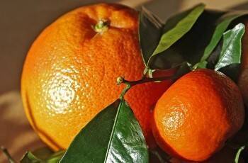 Какие продукты с витамином С нужно употреблять в сезон простуд
