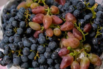Виноград помогает снизить уровень холестерина в крови