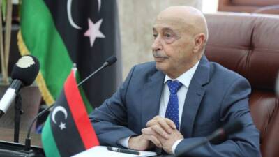 Салех: Правительство национального единства Ливии утратило легитимность 24 декабря 2021 года