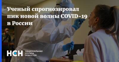 Ученый спрогнозировал пик новой волны COVID-19 в России