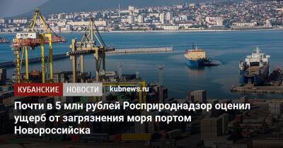 Почти в 5 млн рублей Росприроднадзор оценил ущерб от загрязнения моря портом Новороссийска