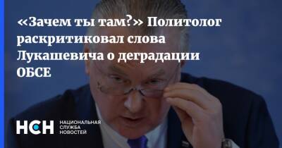 «Зачем ты там?» Политолог раскритиковал слова Лукашевича о деградации ОБСЕ