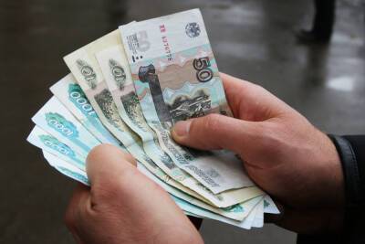 Эксперт ВШЭ объяснил, кому снизят зарплату за январь