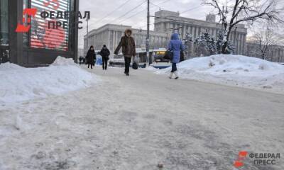 Петербуржцы окрестили ситуацию с уборкой города Ледниковым периодом