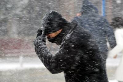 Штормовое предупреждение в Киеве: скорость ветра достигла рекордных значений