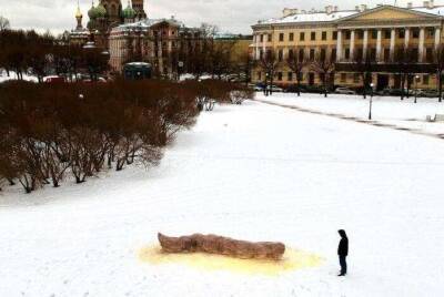 В Санкт-Петербурге задержали художника за арт-объект на Марсовом поле