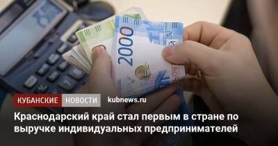 Краснодарский край стал первым в стране по выручке индивидуальных предпринимателей