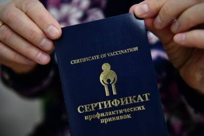 В ЕС заявили об отсутствии письма из России для признания COVID-сертификатов