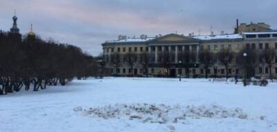 В Петербурге задержали художника Волкова из-за снежного арт-объекта в виде фекалий