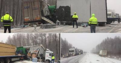 ФОТО. Эстония: в трагическом ДТП с участием грузовика из Латвии погиб человек
