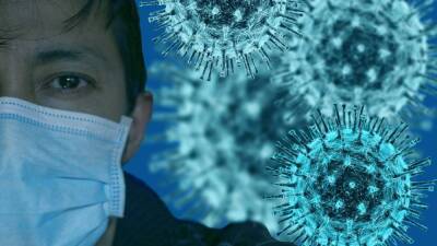 Академик Зверев заявил, что отсутствие антител не влияет на иммунитет к COVID-19
