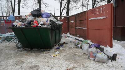 Публицист Голубь о провале мусорной реформы в Петербурге: у властей была возможность избежать ошибок