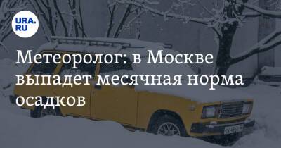 Метеоролог: в Москве выпадет месячная норма осадков