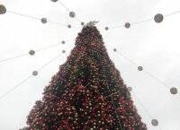 Прощай волшебство: в Киеве разбирают главную новогоднюю елку. Фото