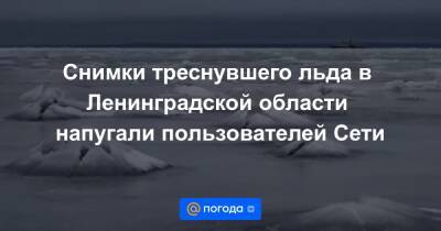 Снимки треснувшего льда в Ленинградской области напугали пользователей Сети