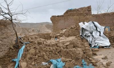Землетрясение в Афганистане: 12 погибли, десятки раненых - eadaily.com - Афганистан - Герат