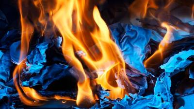 Спаливший пилораму воронежской бизнесвумен мужчина: «Я пытался сжечь общие фото»