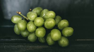 Употребление винограда способствует снижению холестерина и укреплению иммунитета