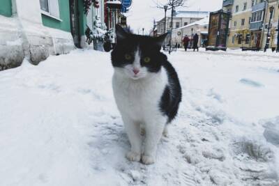Каток на улицах Твери: горожане падают и вязнут в снежной «каше» на тротуарах