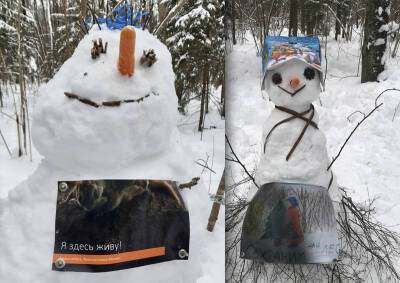 Массовая лепка снеговиков в защиту Троицкого леса подтверждает новые веяния в политической активности