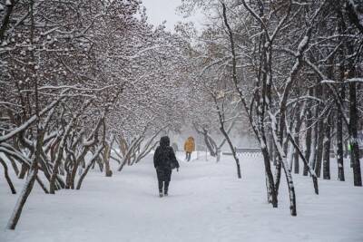 Синоптики объяснили резкое потепление в Новосибирске циклоном «Эльза»