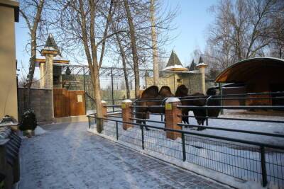 Нижегородский зоопарк «Лимпопо» возобновляет серию именных акций