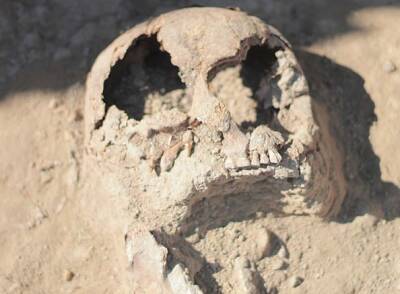 В Китае археологи обнаружили крупнейший в мире череп древнего человека