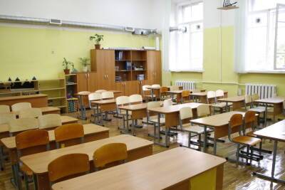 В Петербурге выросло количество школьных классов на дистанционном обучении из-за COVID-19