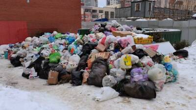 «Надо было готовиться лучше»: директор НЭО о провале мусорной реформы в Петербурге