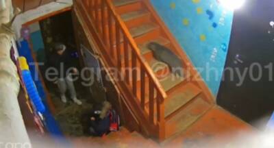 СК проверит информацию об избиении ребенка матерью в Володарском районе