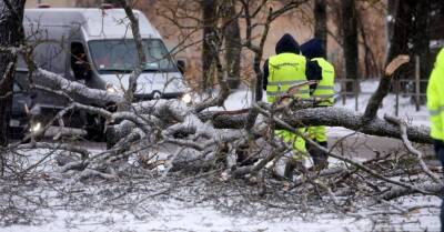 В Латвии беснуется разрушительный шторм, во время бури погибла женщина, "омикрон" наступает. 17 января: главное