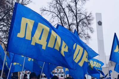 На четырёх депутатов ЛДПР завели уголовные дела в Рязани — СМИ